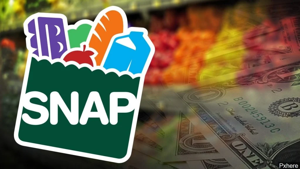 SNAP benefits image
